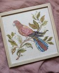 (image for) Rosella Rests